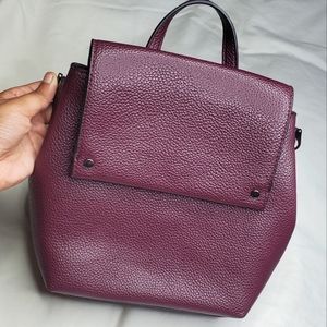 EUC A New Day Plum 2 in 1 Backpack Purse